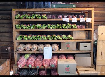 zimbabwe/nyanga-national-park/shop/nyamagaya-orchards-and-shop