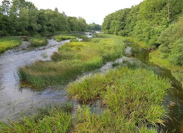 estonia/soomaa-national-park/shop/soomaa-rahvuspargi-keskus