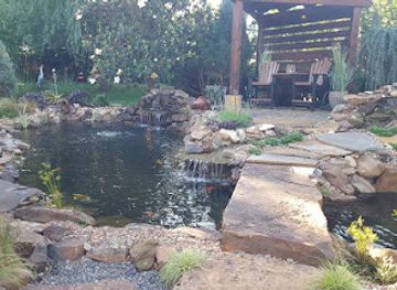 oklahoma/cross-timbers/shop/crosstimber-koi-of-edmond-llc