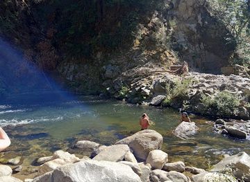 california/redwood-national-and-state-parks/shop/garden-of-eden-henry-cowell-redwood-state-park