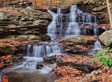 pennsylvania/ricketts-glen-state-park/shop/state-game-lands-number-13