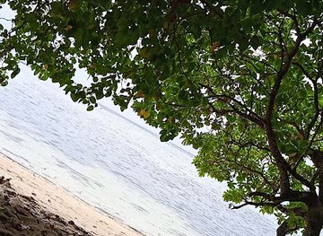 papua-new-guinea/kavieng/shop/pt