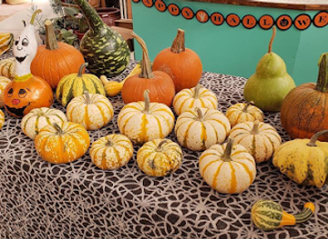 wyoming/goshen-county/shop/great-gardens