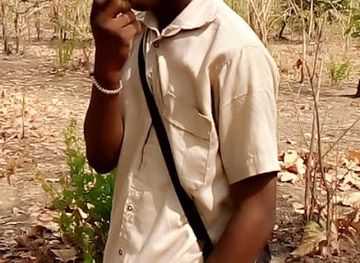 togo/fazao-malfakassa-national-park/shop/marche-de-djarkpanga