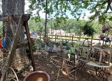 alabama/talladega-national-forest/shop/collector-s-showcase