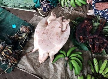 papua-new-guinea/gulf-province/shop/kikori-market