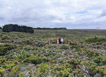 new-zealand/chatham-islands/shop/go-wild-apiary-chatham-islands