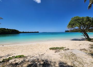 new-caledonia/ile-des-pins/shop/isle-of-pines
