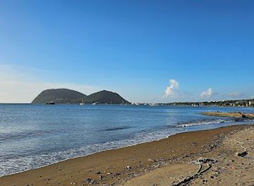 dominica/hampstead-beach/shop/beach-avenue-indian-river-dominica