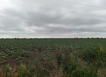 moldova/sipot-falls-natural-monument/shop/mosii-moldave-miorite