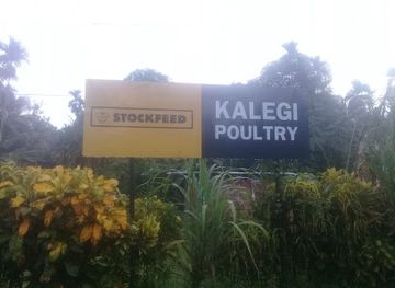 papua-new-guinea/vanimo/shop/kalegi-poultry-stock-feed-supply