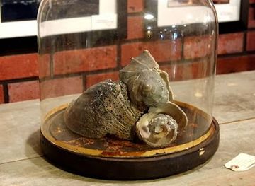 tennessee/franklin/shop/city-farmhouse