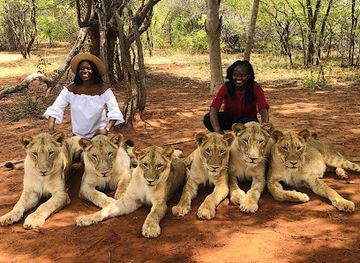 zambia/zambezi-basin/shop/mukuni-big-five-safaris