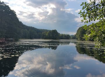 poland/suwalszczyzna/shop/rezerwat-przyrody-glazowisko-bachanowo