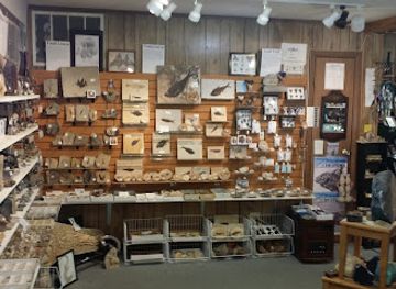 Avas Silver & Rock Shop