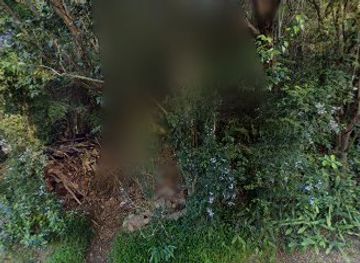 new-zealand/paihia/shop/reviresco