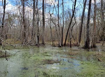 Atchafalaya National Wildlife Refuge