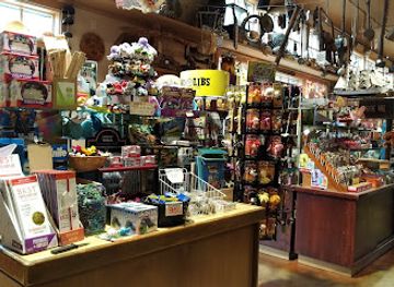 Ye Olde Curiosity Shop