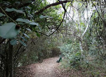 brazil/atlantic-forest/shop/parque-natural-municipal-chico-mendes
