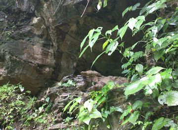 trinidad-and-tobago/aripo-caves/shop/lopinot-cave