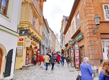 czechia/cesky-krumlov/shop/nostalgie-antiques-and-fine-art