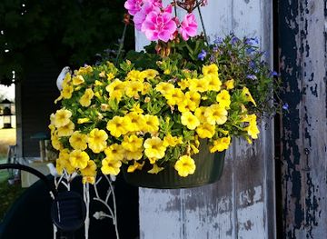 new-hampshire/central-new-hampshire/shop/the-1804-homestead-gift-shop