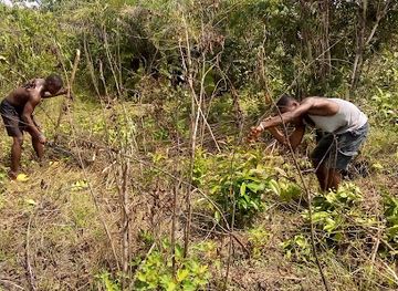 liberia/cape-mount/shop/light-of-the-world-farm