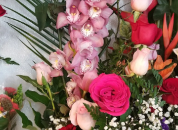illinois/cicero/shop/norma-s-flowers-gifts
