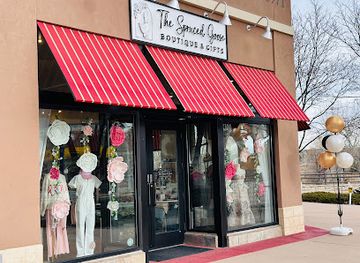 colorado/northern-colorado/shop/the-spruced-goose-boutique-gifts
