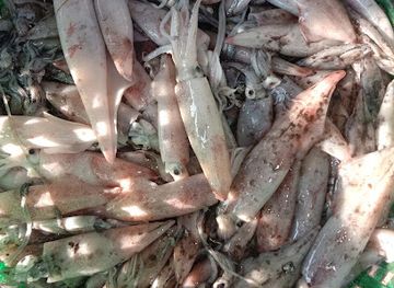 myanmar-burma/ngapali/shop/htet-htet-aung-poe-zwe-ywar-yay