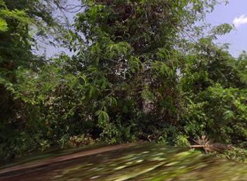 cambodia/tbong-khmum/shop/wing