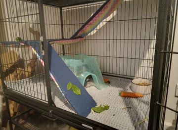 australia/northern-western-australia/shop/coops-and-cages