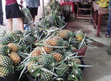 thailand/loei/shop/purple-pineapple-plantation