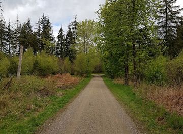 denmark/rebild-bakker/shop/rold-skov