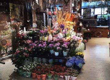 norway/molde/shop/molde-sentrum-as