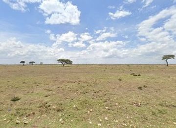 kenya/maasai-mara-national-reserve/shop/sekenani-maasai-dev-project