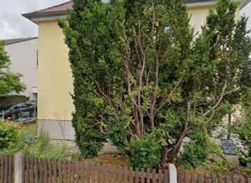 germany/swabia/shop/cinice-trendstore