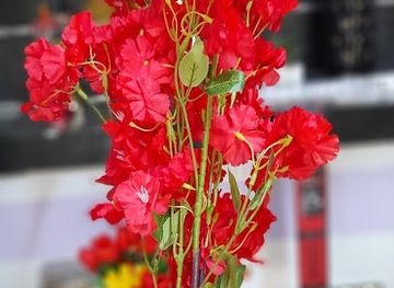 ethiopia/dire-dawa/shop/mmt-home-decoration-cosmo-and-gift-shop