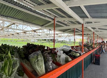 seychelles/baie-lazare/shop/fruits-and-vegetables-market-bazar