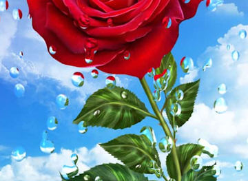 jamaica/savanna-la-mar/shop/shopping-store