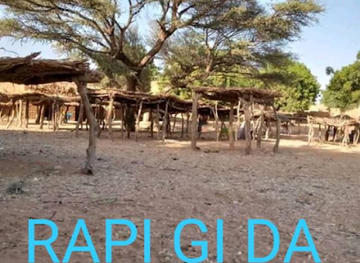 niger/goure/shop/litinin-rapi