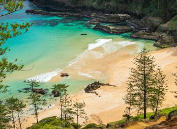 norfolk-island/two-chimneys/shop/norfolk-island-real-estate