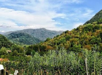 italy/lunigiana/shop/azienda-agricola-terra-del-lucido
