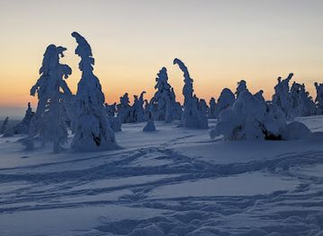 finland/riisitunturi-national-park/shop/riisitunturi