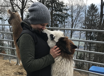 liechtenstein/gnalp-trail/shop/lama-alpakahof-triesenberg