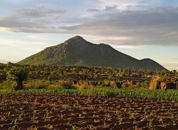 malawi/kasungu-plain/shop/kasungu-district-council