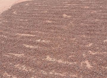 cote-d-ivoire/marahoue-national-park/shop/magasin-de-stockage-kapatchiva-bonon-bi-zehitafla