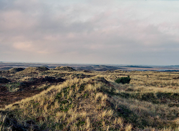 denmark/thy-national-park/shop/isbjerg-nationalpark-thy