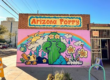 arizona/saguaro-national-park/shop/sonoran-rosie