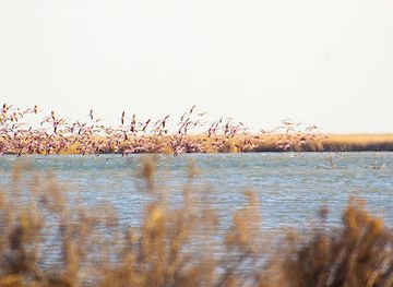 azerbaijan/goygol-national-park/shop/aggol-milli-parki-giris